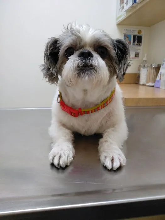 Arc Animal Hospital Picture 1