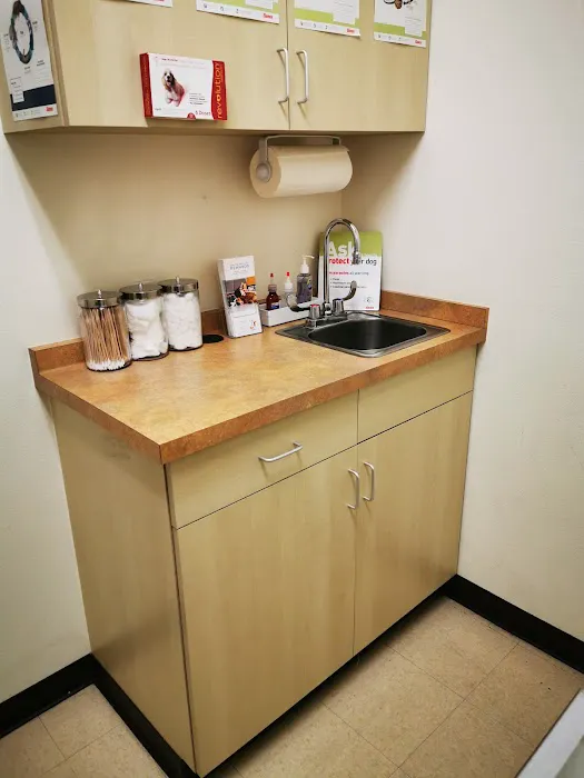 Arc Animal Hospital Picture 8