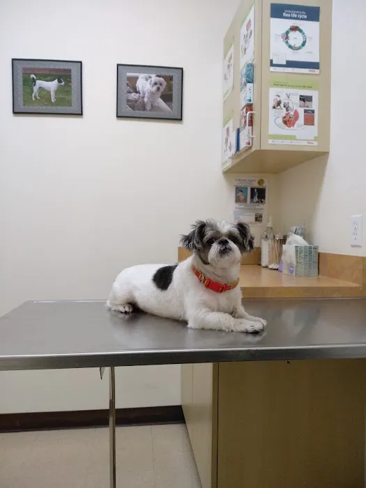 Arc Animal Hospital Picture 6