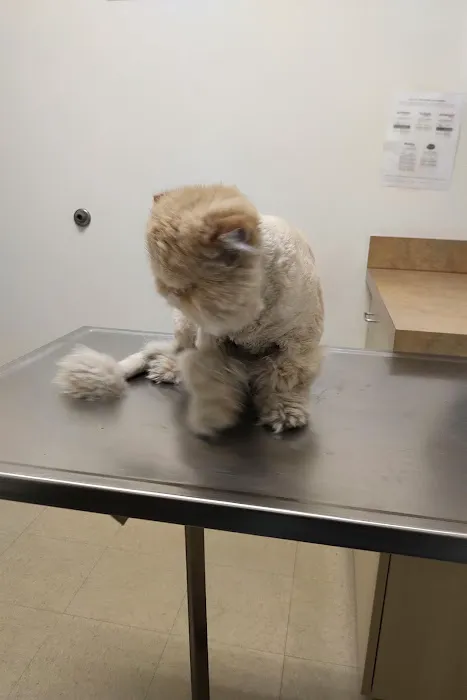 Arc Animal Hospital Picture 5