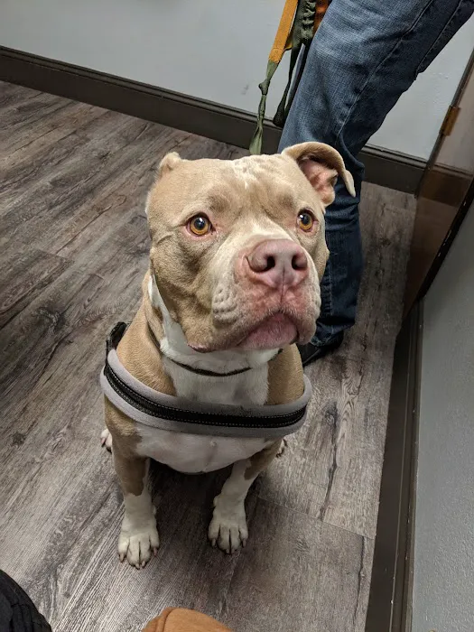 Peninsula Pet Hospital Picture 3