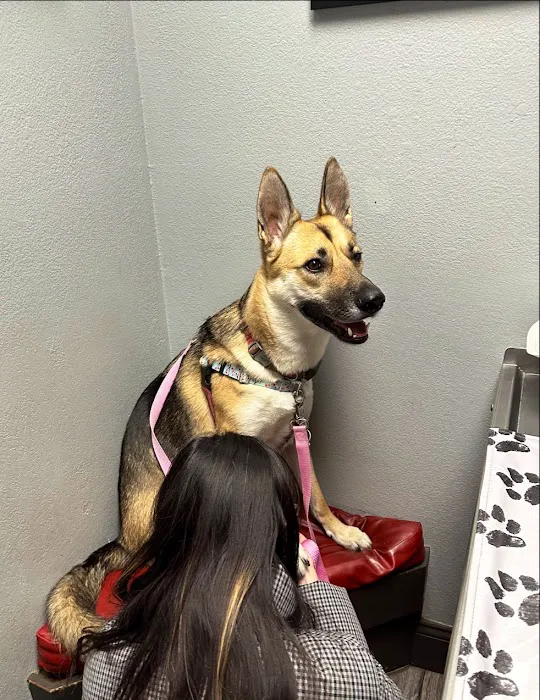 Peninsula Pet Hospital Picture 1