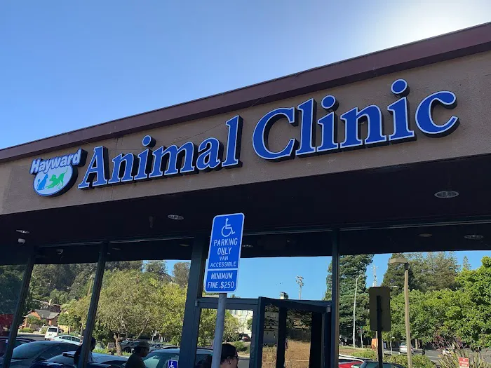 Hayward Animal Clinic Picture 7