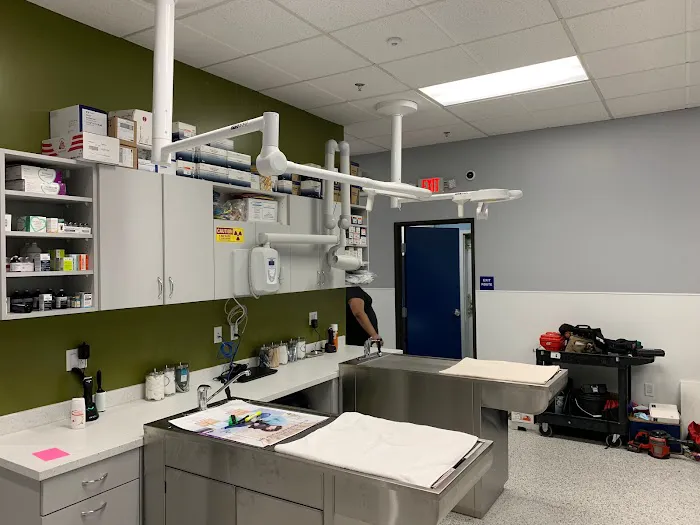 Hayward Animal Clinic Picture 2
