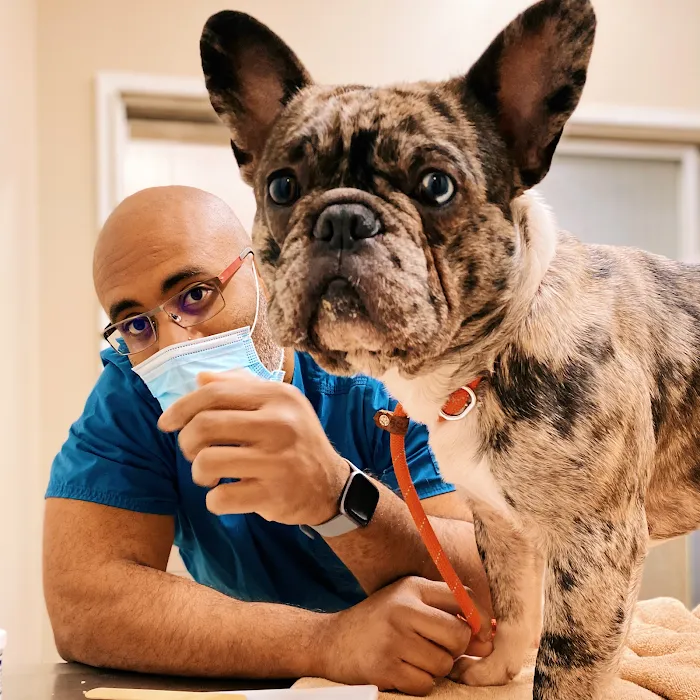 Hayward Veterinary Hospital Picture 5