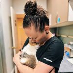 Hayward Veterinary Hospital