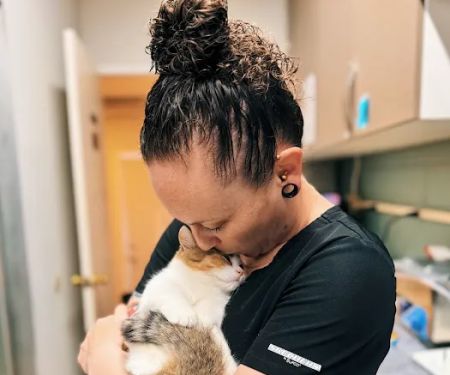 Hayward Veterinary Hospital