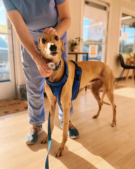 Hayward Veterinary Hospital Picture 6