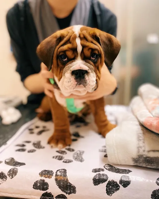 Hayward Veterinary Hospital Picture 7
