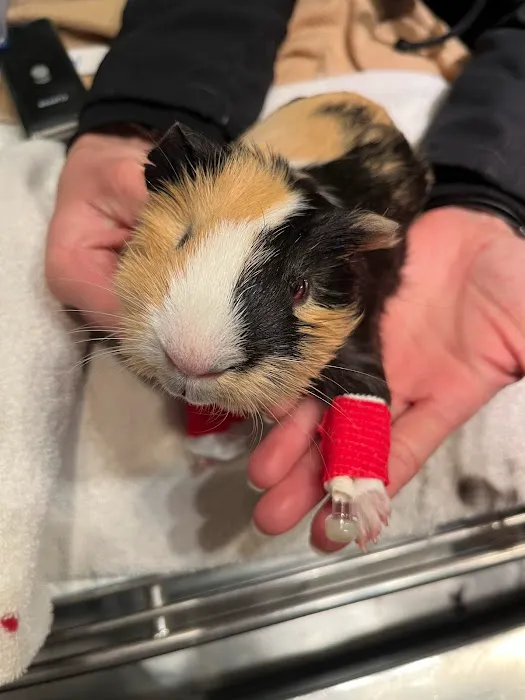 Hayward Veterinary Hospital Picture 3