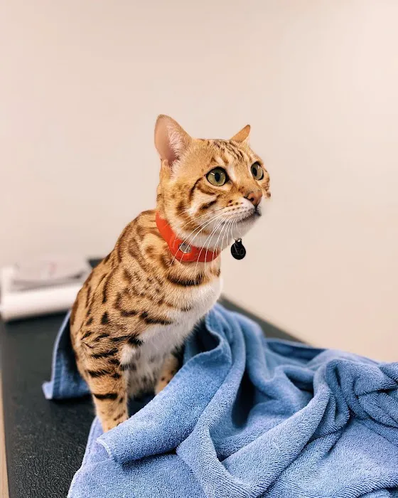 Hayward Veterinary Hospital Picture 2