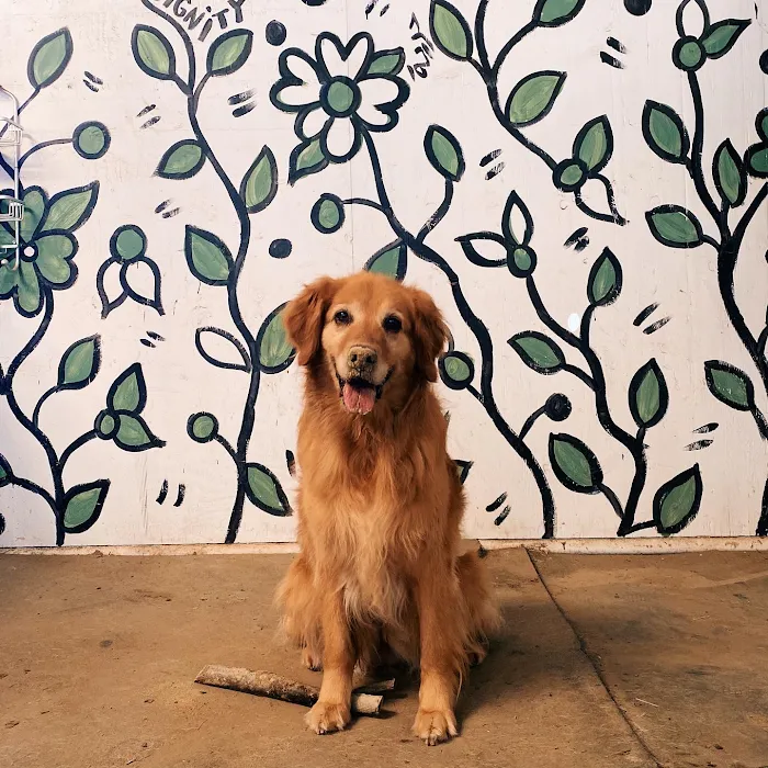 Hayward Veterinary Hospital Picture 9
