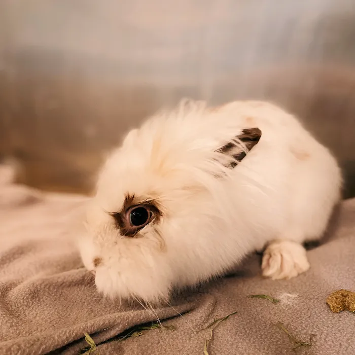 Hayward Veterinary Hospital Picture 10