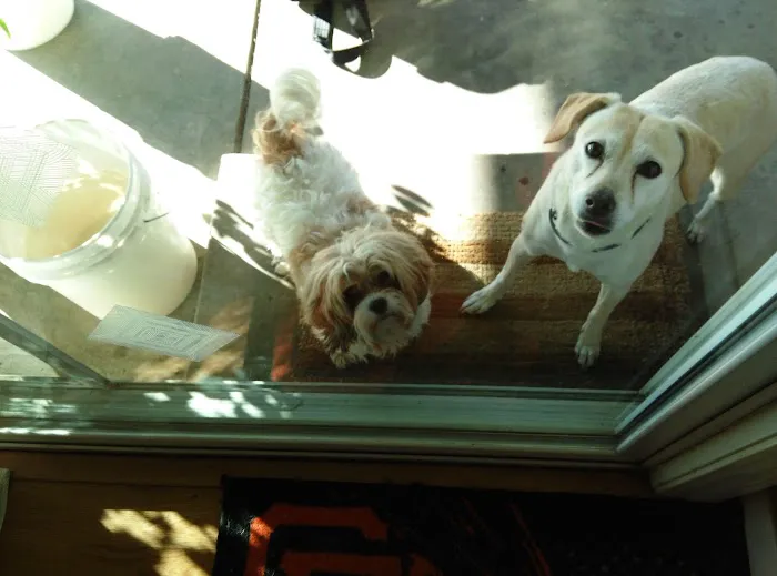 Noble Veterinary Clinic Picture 1