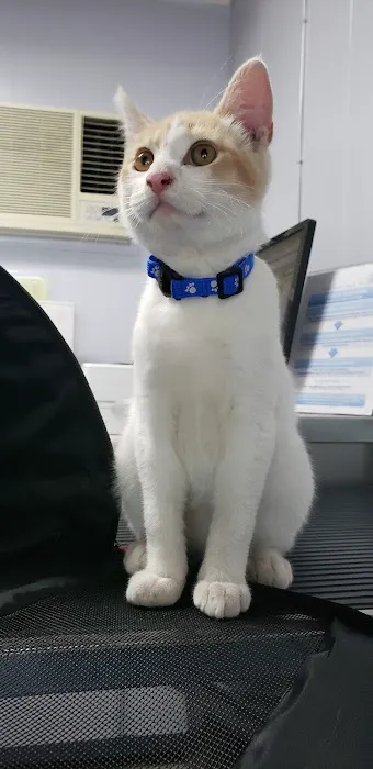 Noble Veterinary Clinic Picture 4
