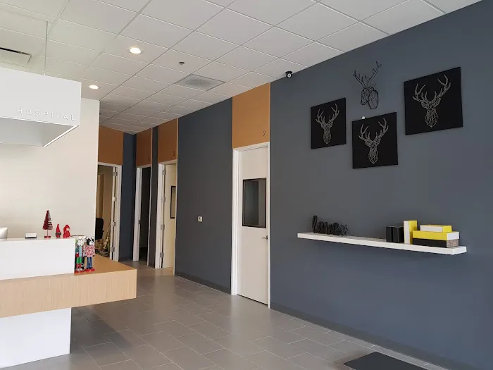 Gentle Care Veterinary Hospital Picture 5