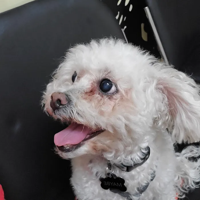 Eden Pet Hospital Picture 8