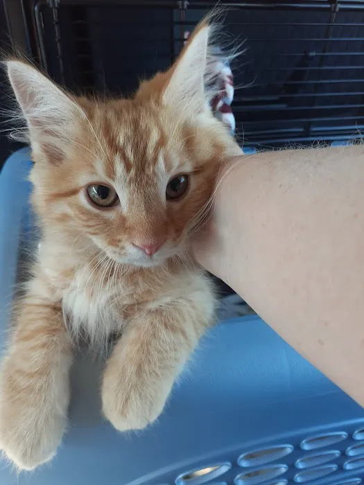 Eden Pet Hospital Picture 6