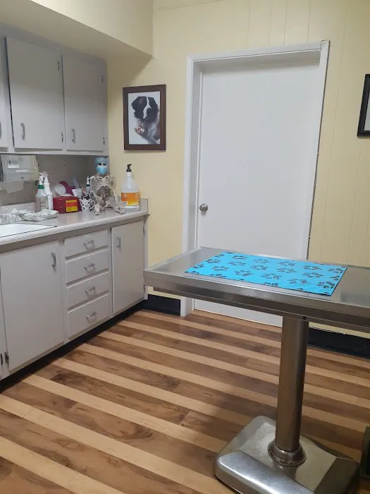 Eden Pet Hospital Picture 2