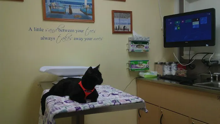 Eden Pet Hospital Picture 10