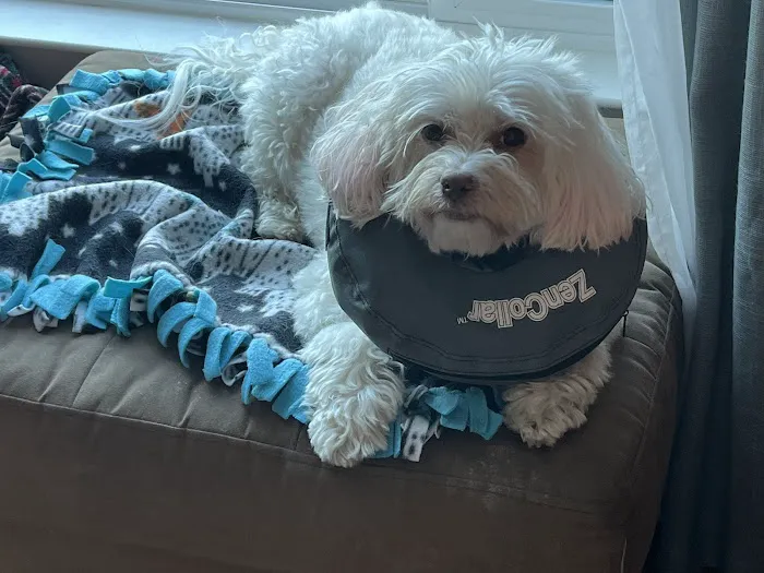 Eden Pet Hospital Picture 7