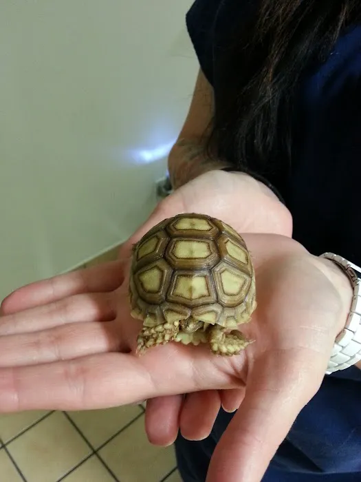 Groveway Pet Hospital Picture 8