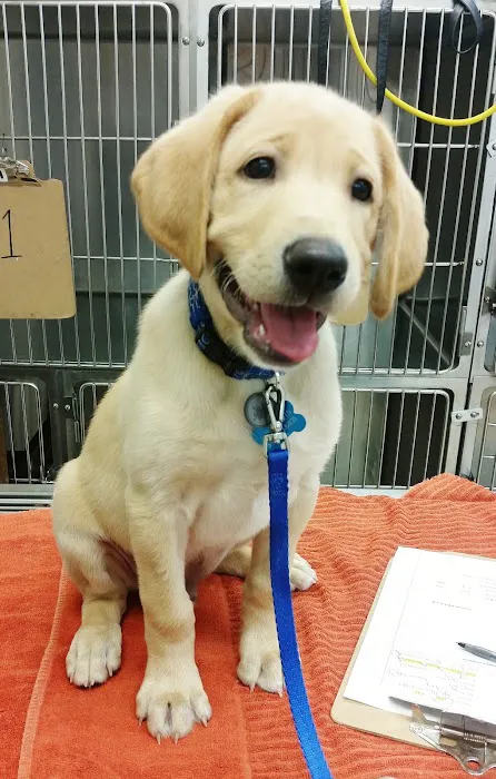 Groveway Pet Hospital Picture 5