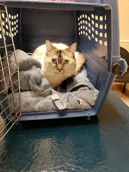 Groveway Pet Hospital Picture 2