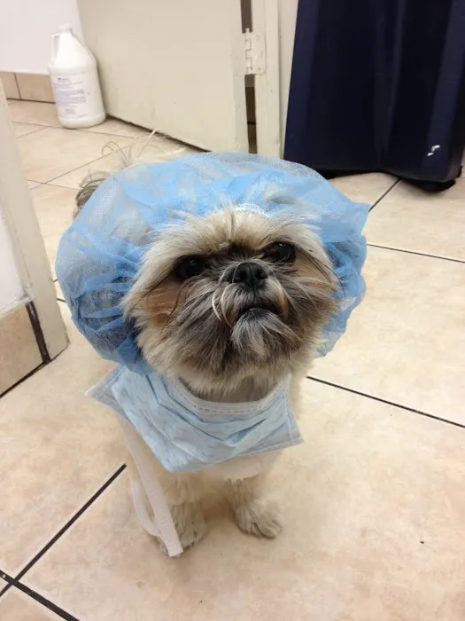 Groveway Pet Hospital Picture 10