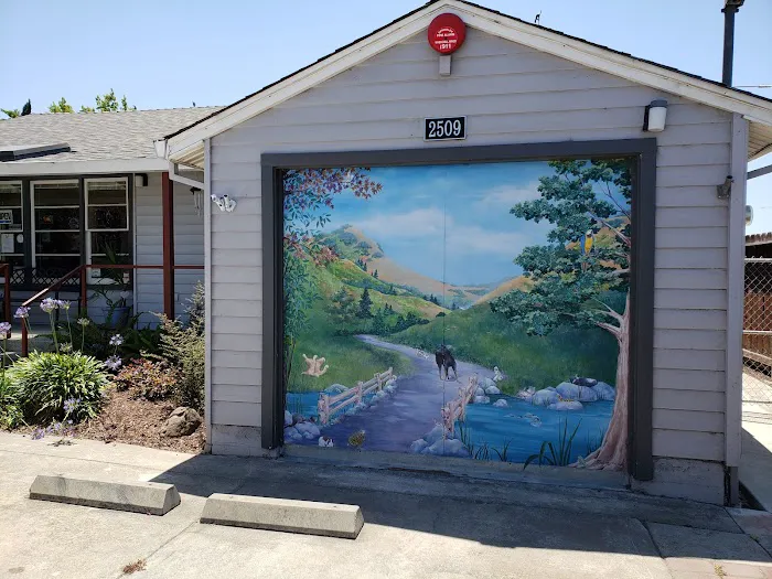 Castro Valley Companion Animal Hospital Picture 9