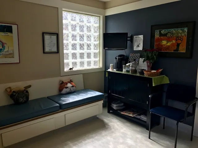 Castro Valley Companion Animal Hospital Picture 2