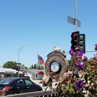 Castro Valley Companion Animal Hospital ico