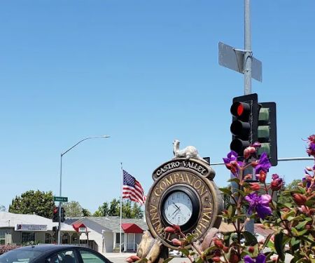 Castro Valley Companion Animal Hospital