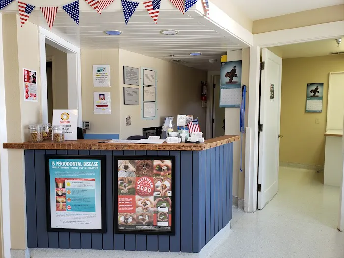 Castro Valley Companion Animal Hospital Picture 4