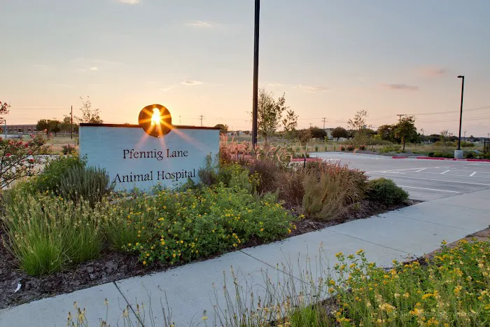 Pfennig Lane Animal Hospital Picture 1