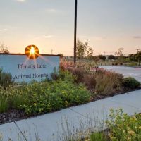 Pfennig Lane Animal Hospital ico