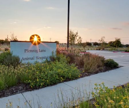 Pfennig Lane Animal Hospital