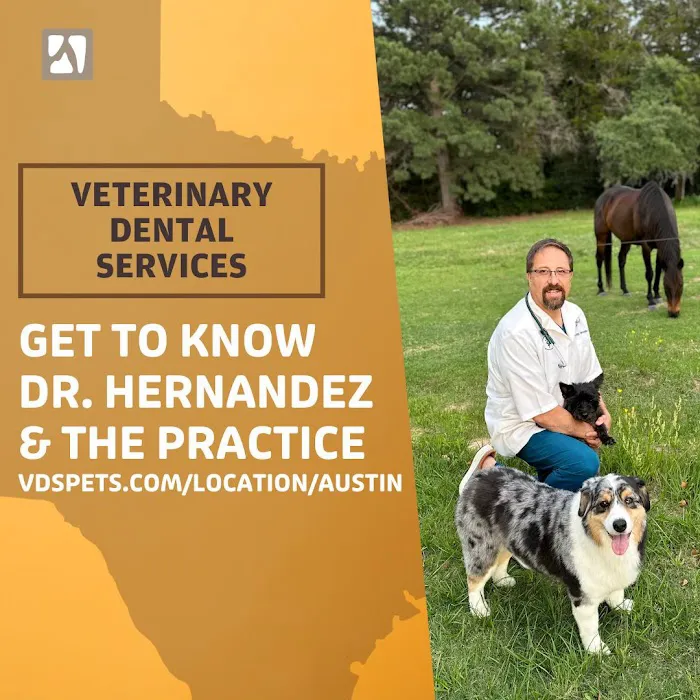 Veterinary Dental Specialties & Oral Surgery Picture 9
