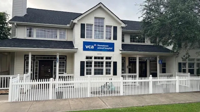 VCA Hometown Animal Hospital Picture 1