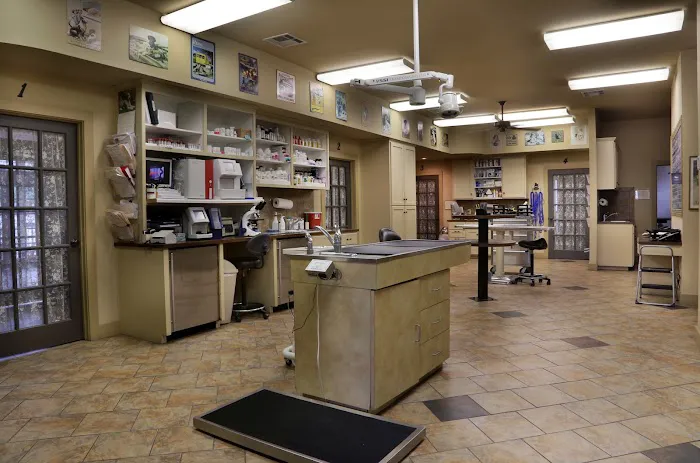 VCA Hometown Animal Hospital Picture 5