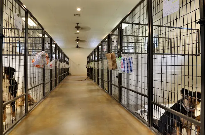 VCA Hometown Animal Hospital Picture 7