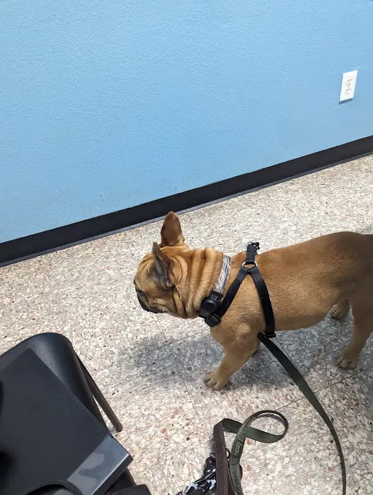 Pflugerville Animal Hospital Picture 4