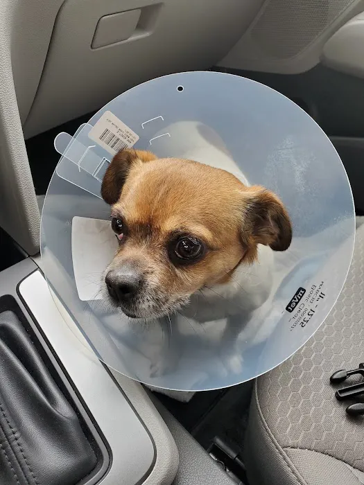 Pflugerville Animal Hospital Picture 1