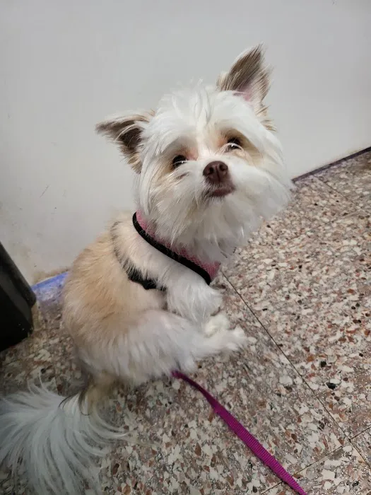 Pflugerville Animal Hospital Picture 9