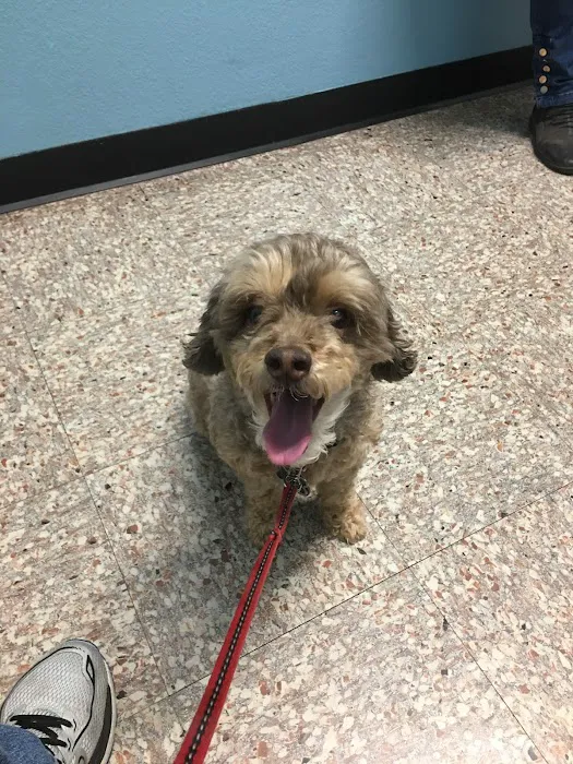 Pflugerville Animal Hospital Picture 10