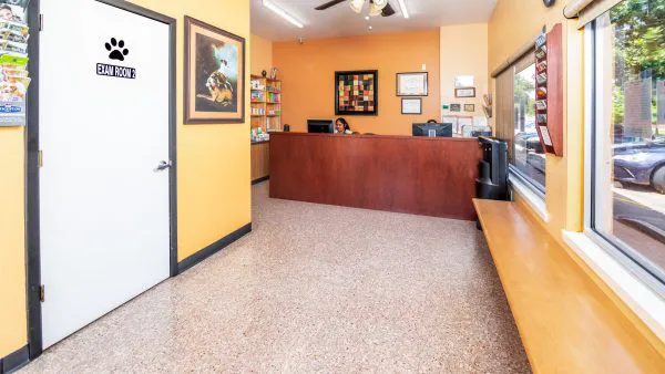 Pflugerville Animal Hospital Picture 3
