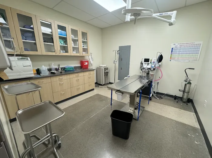 Vetco Total Care Animal Hospital Picture 7