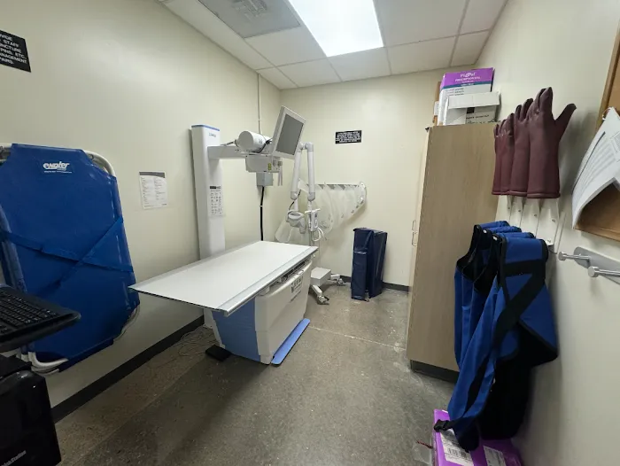 Vetco Total Care Animal Hospital Picture 10
