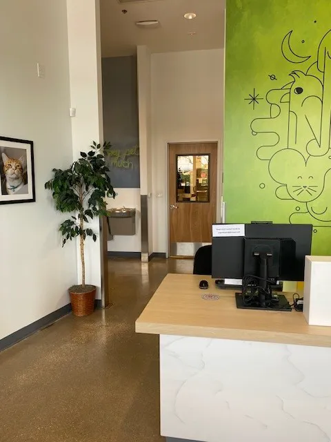Thrive Pet Healthcare - Round Rock Picture 4