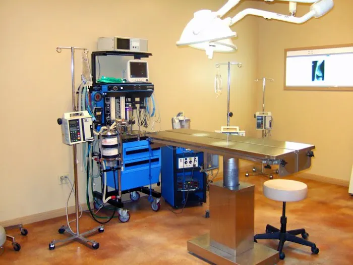 Heart of Texas Veterinary Specialty Center Picture 2